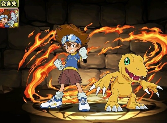 八神太一＆アグモン