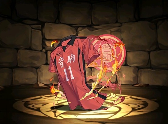 灰羽のユニフォーム