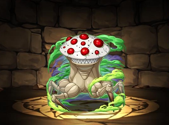 ファネロプラス