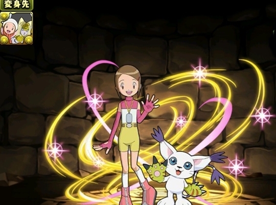 八神ヒカリ＆テイルモン(02)