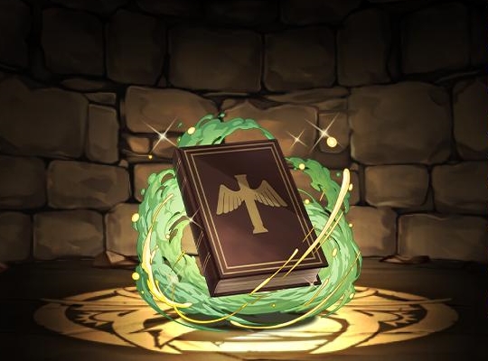 ハイターの聖典