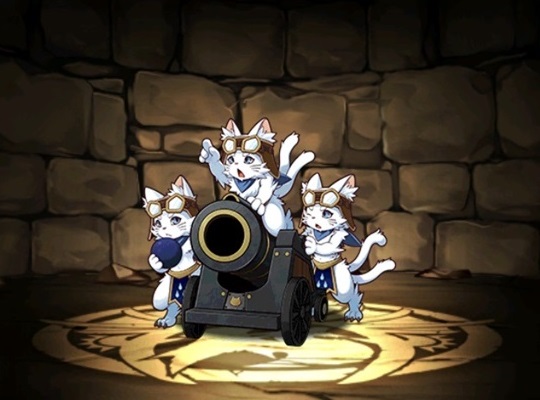 水の猫砲隊