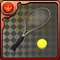 菊丸のテニスラケット